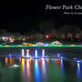 Flower Park Christmas