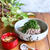 長芋と茗荷のおつゆでいただく十割蕎麦！