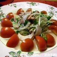いかとサラダたまねぎのマリネ　毎度おなじみ、漬けとくだけです(^_-)-☆