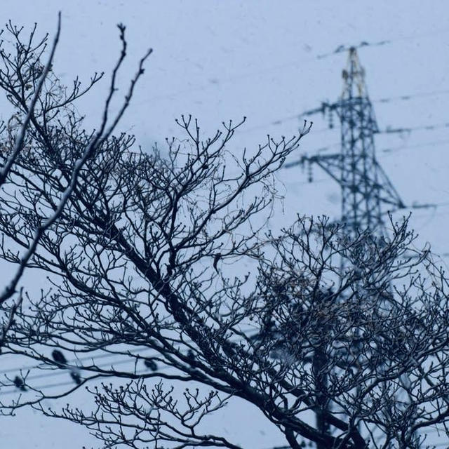 雪の風景20231217
