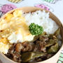 モロッコインゲンと牛肉の煮物弁当　レシピ