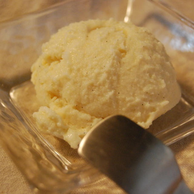 卵も生クリームも不要！濃厚ミルキーバニラアイス