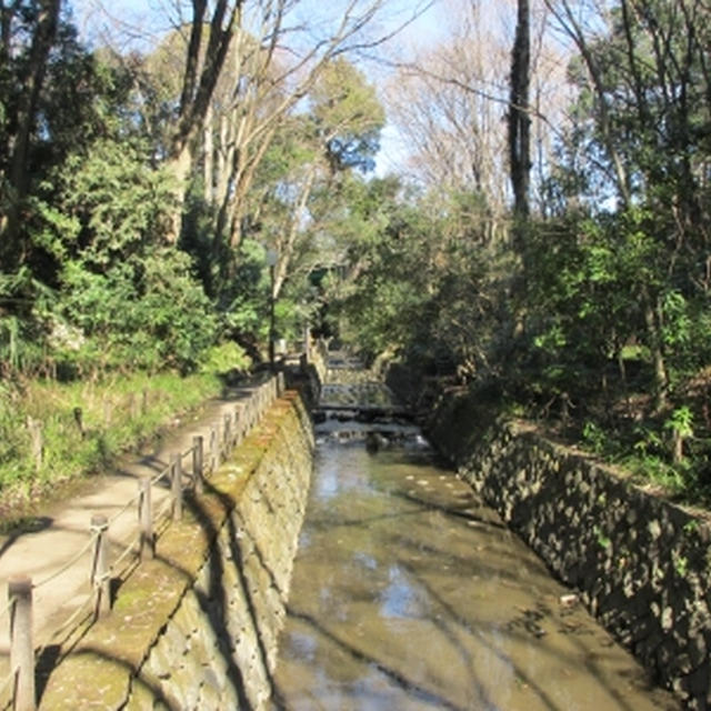 等々力渓谷ハイキング×マクロビランチ(二子玉川)