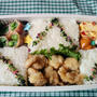 今日のお弁当　第1198号　～コチュマヨチキン～