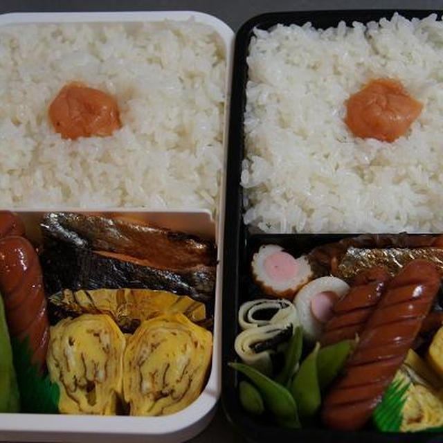 鮭弁当