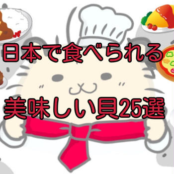 【いくつ知ってる？】日本で食べられる美味しい貝25選！高級な貝や地域性が強い貝を一挙に解説