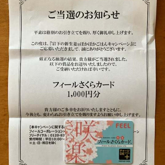 当選報告 2025年 No.２６