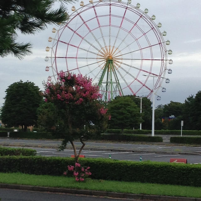 生きてます