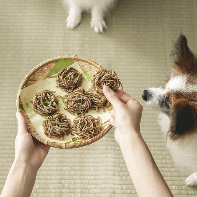 あまった蕎麦でOK！蕎麦の犬おやつレシピ