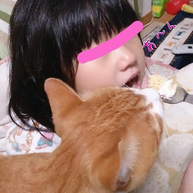 【長女】5歳１ヶ月（5歳０ヶ月の記録）