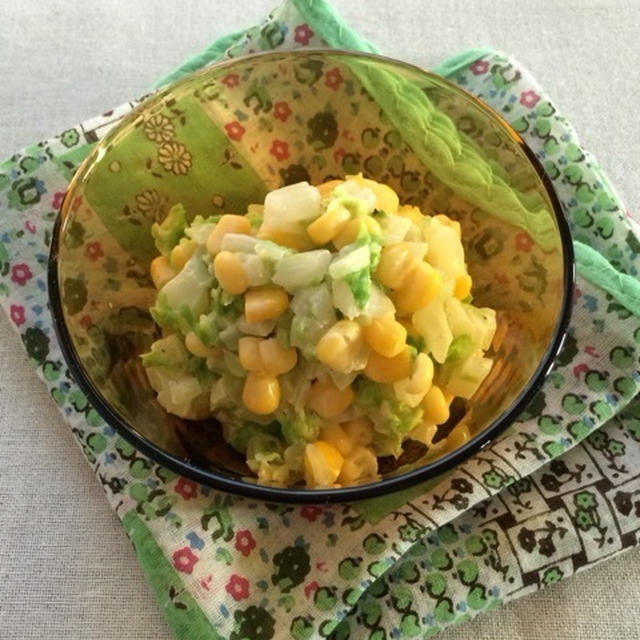 今が旬！大きくて安い白菜でおしゃれな食費節約レシピ(*^-^*)