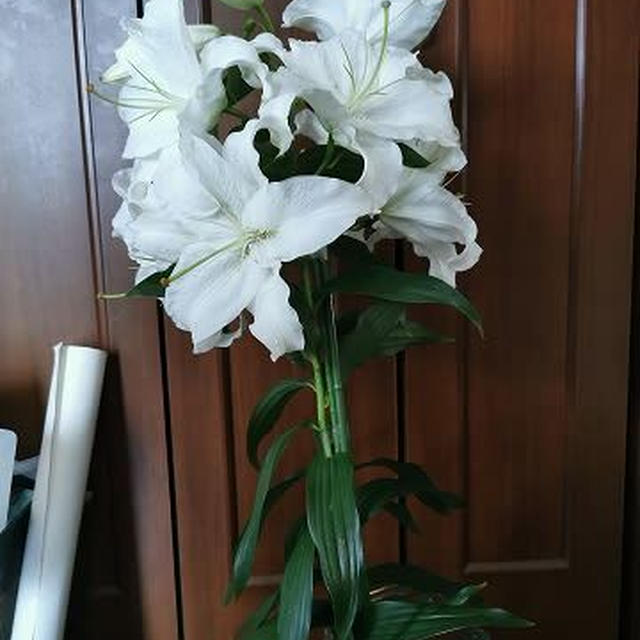 百合は９輪でした！ / 業者が決まったので…