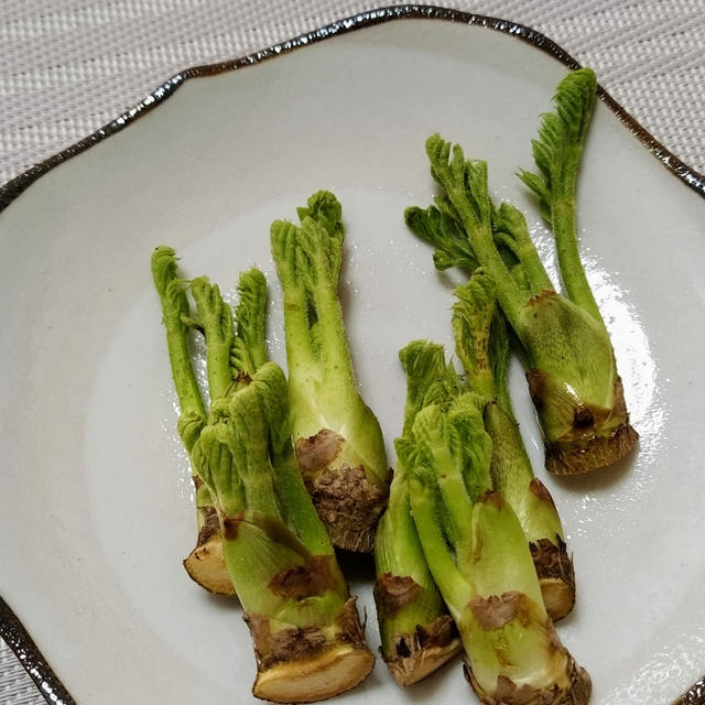 春(*´ω｀*)