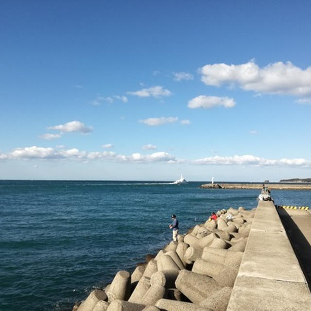 イワシが釣りたかったのに・・・