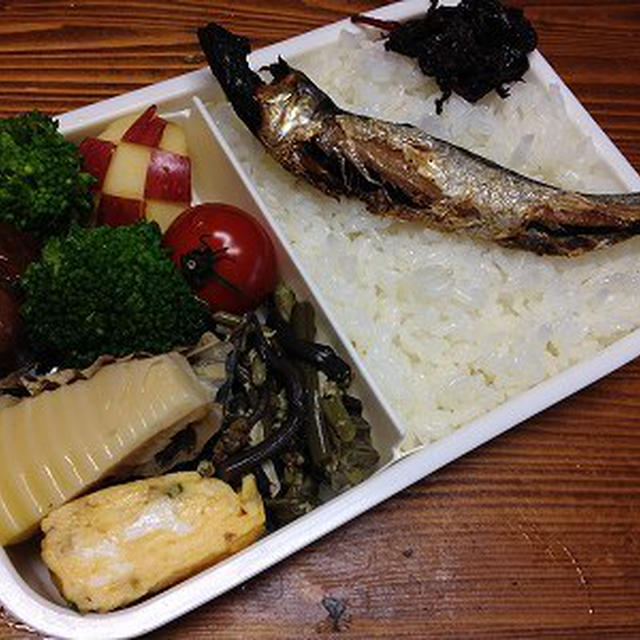 目刺し弁当。ツーショットで凛々しいきなこ