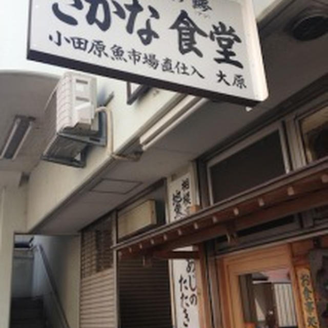 【小田原】大原　ひさびさに訪れました　ふっくらしたアジフライ　刺身　しらす丼