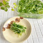 レンジ＋白だしで簡単！「水菜のおひたし」の作り置き