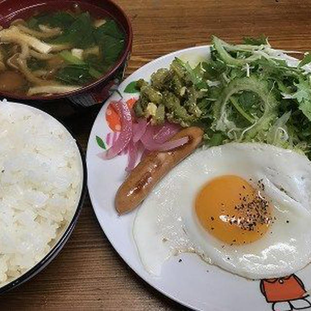 休日の朝ごはん。きつね若布うどん