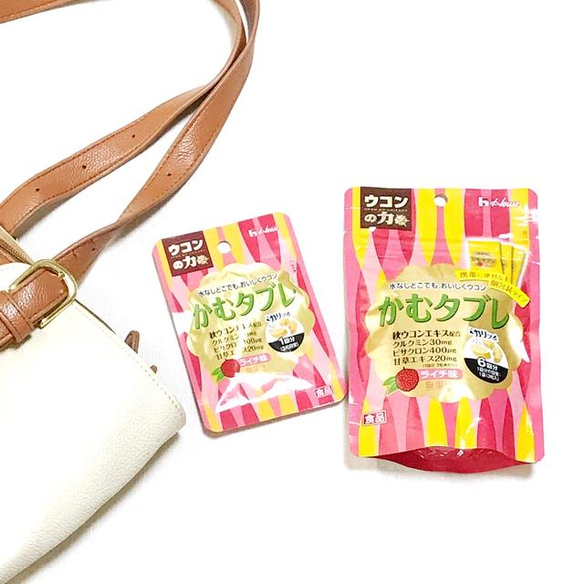 水なしでおいしくかんで食べられる♪ウコンの力　かむタブレ