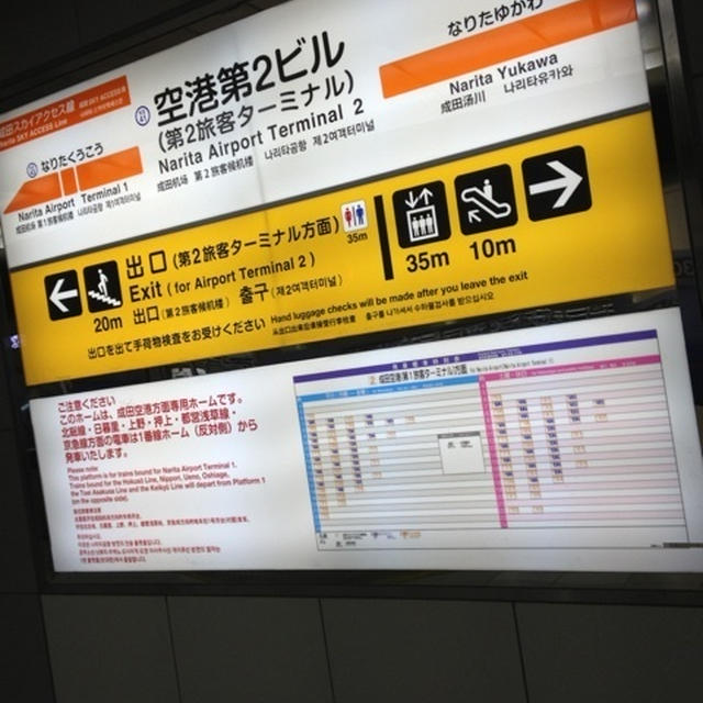 いざ、韓国済洲島へ！