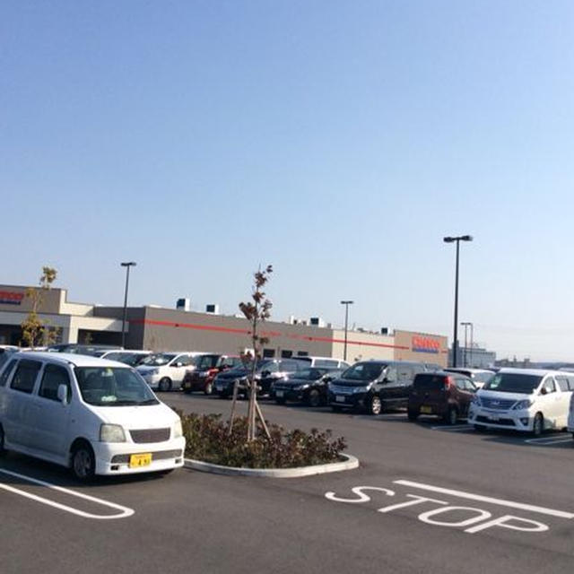 3月9日日曜日のコスコト中部空港店