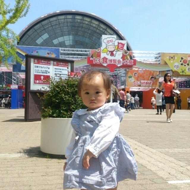 食博☆