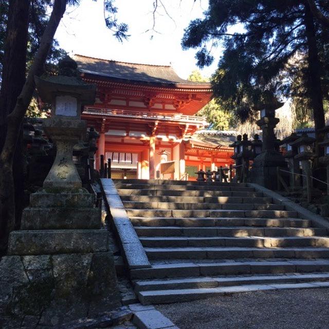 奈良ったら奈良