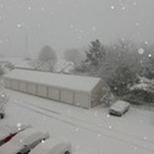 大雪！そしてピザ
