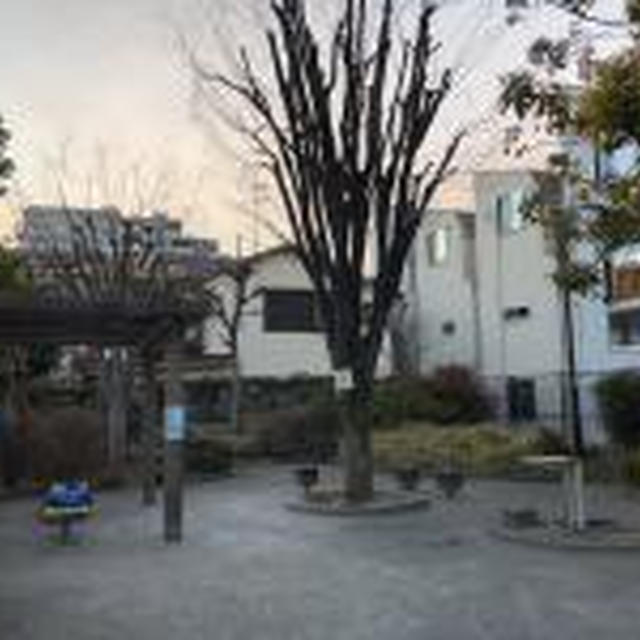 太極拳自主練