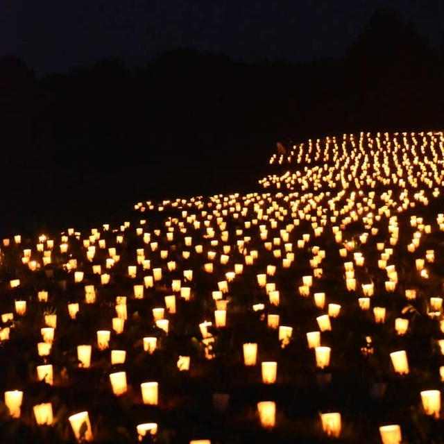 福島潟自然文化祭2022 雁迎火が幻想的で素敵でした。