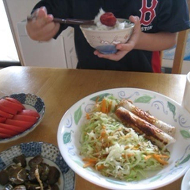 今日のお昼と自由研究