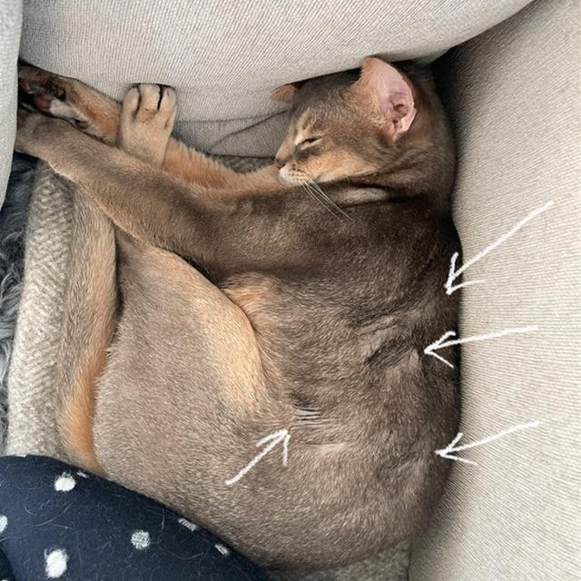 お昼寝はしっとり仕上げのあとに…