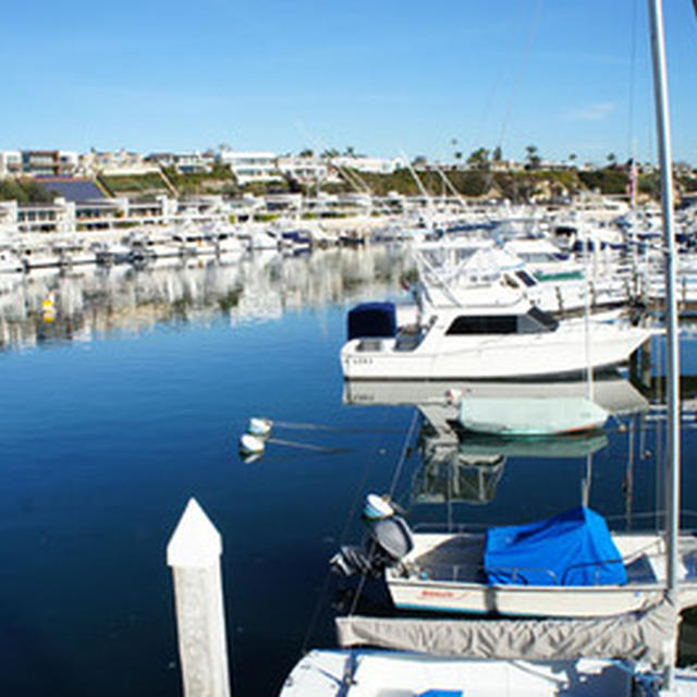 Balboa　Islando New Port-Beach＆トムソーヤの？魚屋