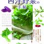 【Book】『はじめての西洋野菜手帖』ーーレシピと写真掲載のお知らせ