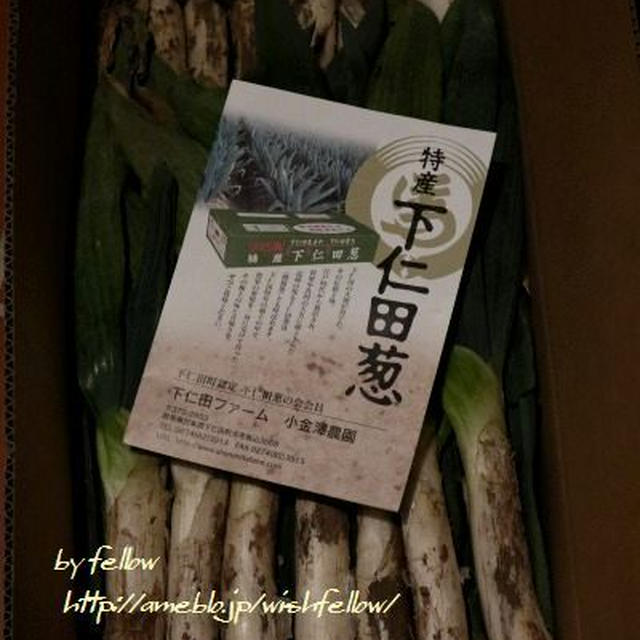 ◆届いた下仁田ネギでおうちごはん♪