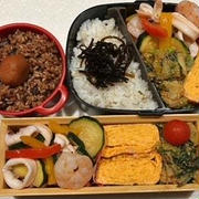ズッキーニと海鮮ソテー弁当・まごまご１歳半健診、ディズニーシー