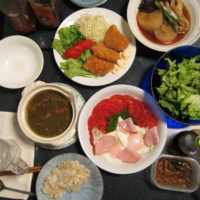 わが家の晩御飯 219（ほうれん草カレーはヘルシーで美味しいよ）