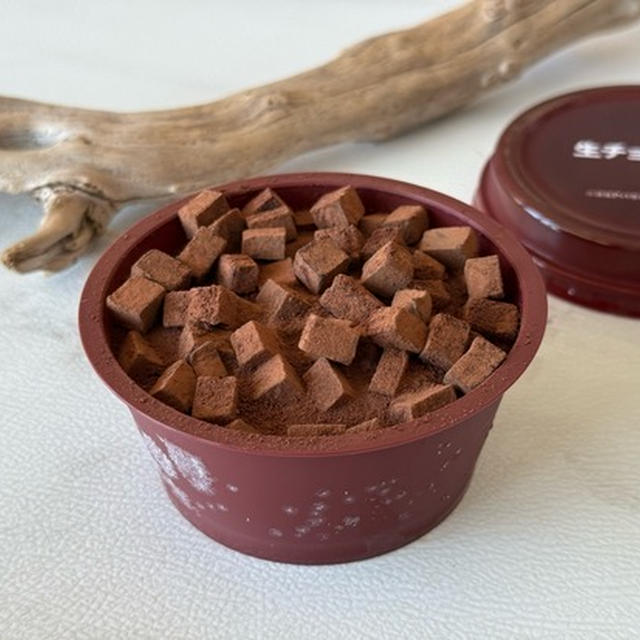 【セブンイレブン】生チョコアイスが、すごくチョコリッチだった