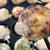鉄製たこ焼きプレートで失敗せずに直火で焼くコツ。くっつかない・焦がさないポイントとは？