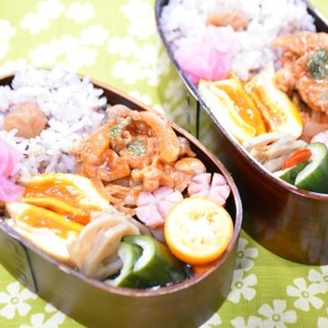 【毎日のお弁当】2/28～3/1