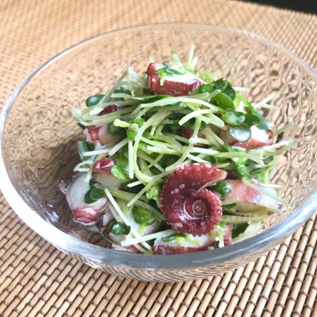 【いつでも買える食材！大人の和え物】美肌効果☆かいわれ大根とタコの柚子胡椒マヨ♡レシピ
