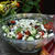 Greek Black-eyed Pea Salad ブラックアイドピーのグリークサラダ