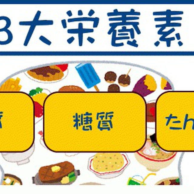 腎臓病とたんぱく質の関係