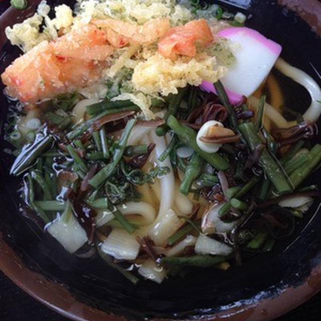 お昼は和田山のセルフうどん「花はな」