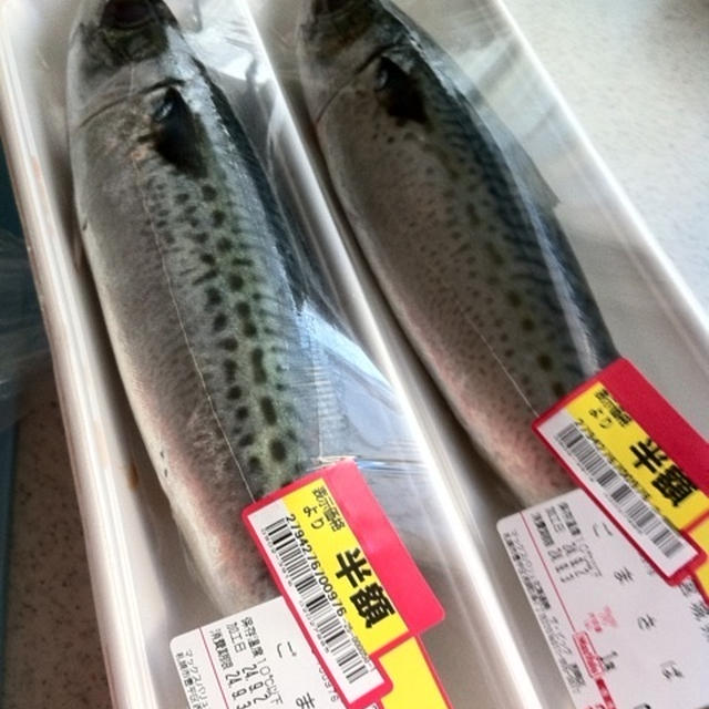 鯖の干物