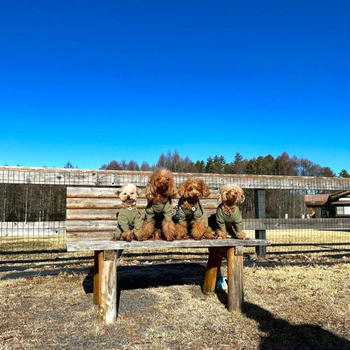 晴れた冬休みキャンプと地震のお礼