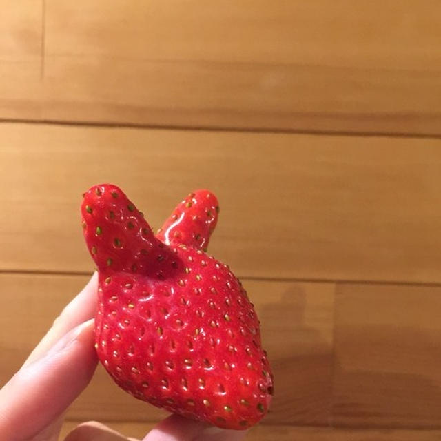 【　いちごがきつねに！いや、きつねがいちごに？！　】
