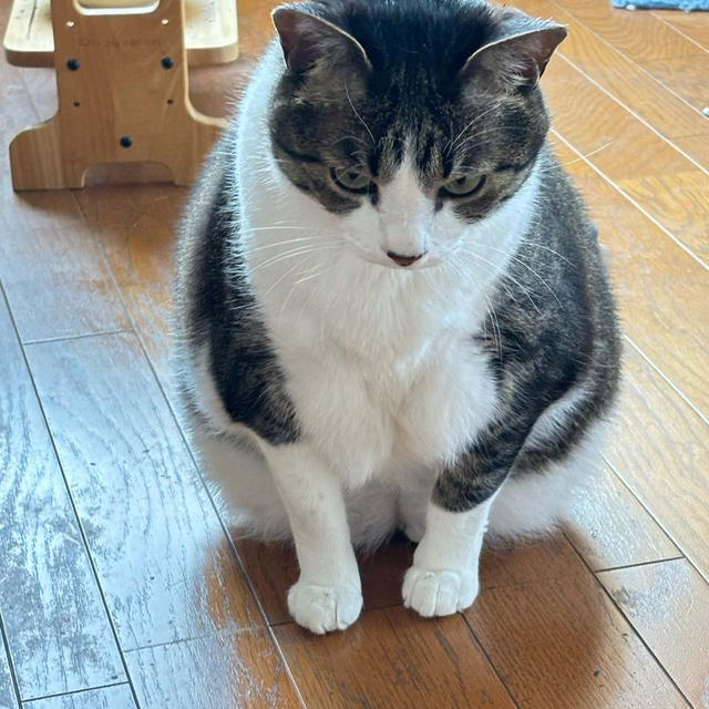 6月
