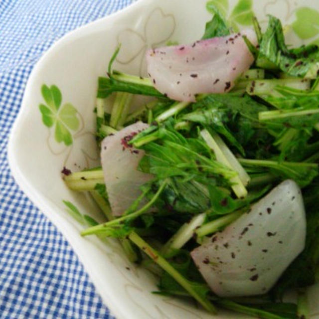 材料3つで簡単副菜♪水菜とかぶのゆかりサラダ☆