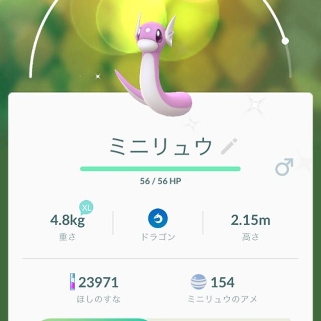 ミニリュウ見つけた
